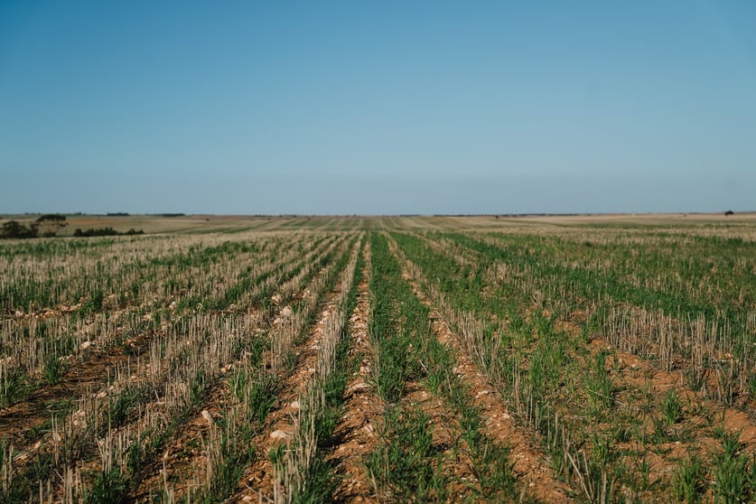 Stirlings, Pompies & Town Loxton SA 5333 - Image 3