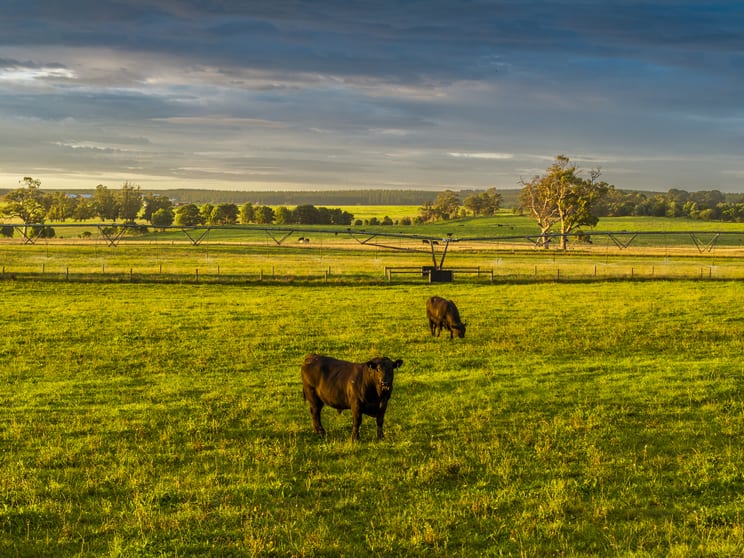 103 Kellys Road Longford VIC 3851 - Image 2