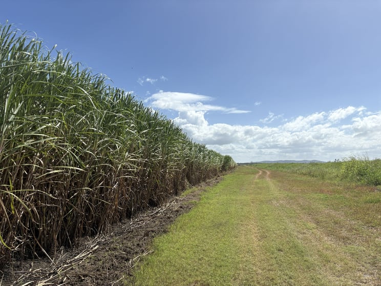 218 Oats Road Fredericksfield QLD 4806 - Image 3