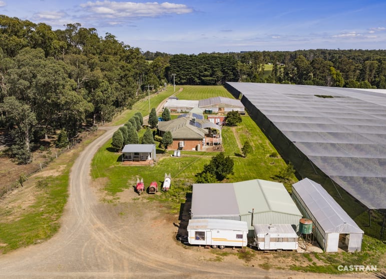 1363 Whittlesea Yea Road Kinglake West VIC 3757 - Image 3