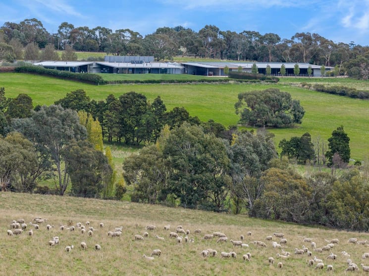 504 Sidonia Road Sidonia VIC 3444 - Image 2