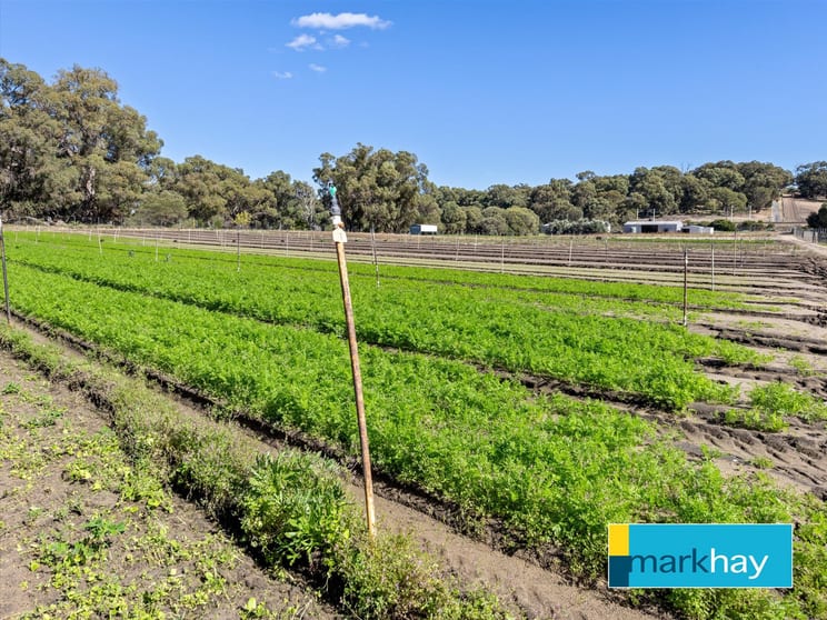 89 Fletcher Road Karnup WA 6176 - Image 2