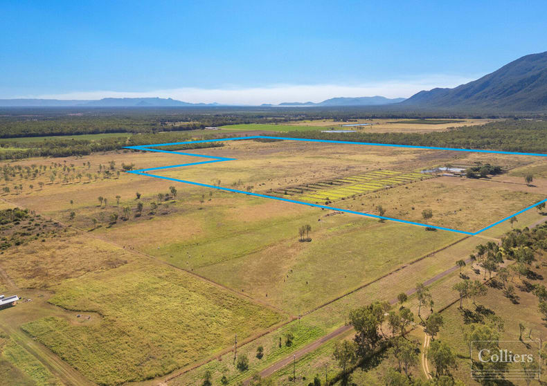 Click to view all images 86 Webb Road Majors Creek QLD 4816 - Image 2