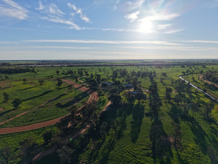 Click to view all images Farm 518 (West) Wood Road Coleambally NSW 2707 - Image 3
