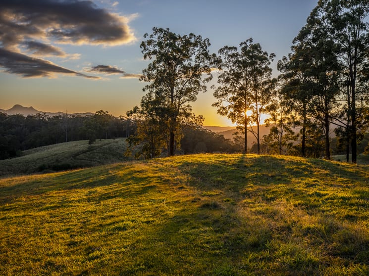 Click to view all images 113-124 Boormans Rd Tyalgum NSW 2484 - Image 1