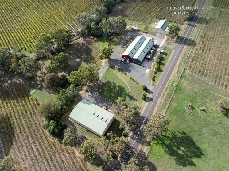 113 Hoffnungsthal Road Lyndoch SA 5351 - Image 2