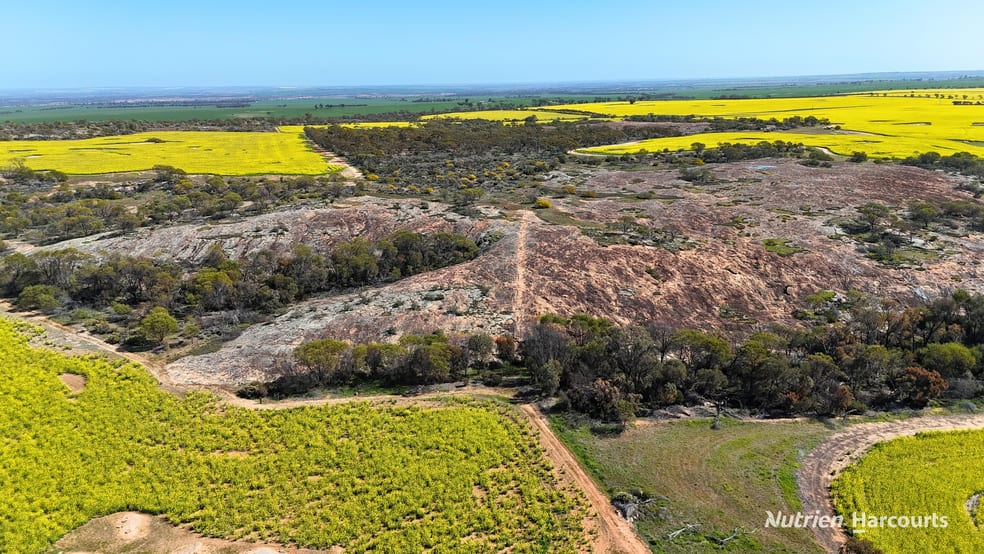 1320 Nukarni West Road Elabbin WA 6490 - Image 2