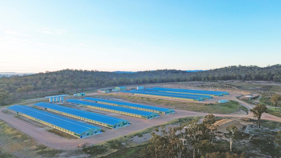 3497 Leyburn Cunningham Road Pratten QLD 4370 - Image 3