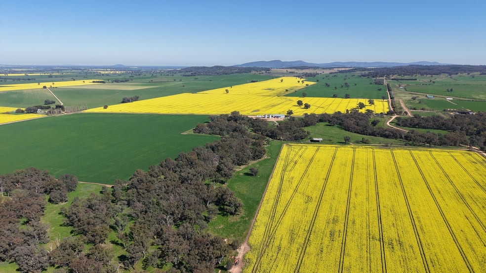 Click to view all images Elambone Homestead, Gerrybang Road Grenfell NSW 2810 - Image 1