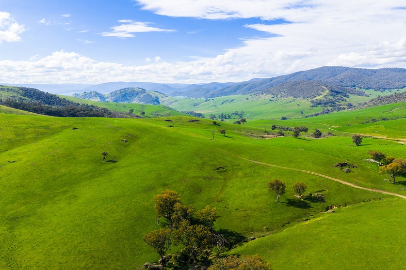 5589 Tooma Road Bringenbrong NSW 3707 - Image 2