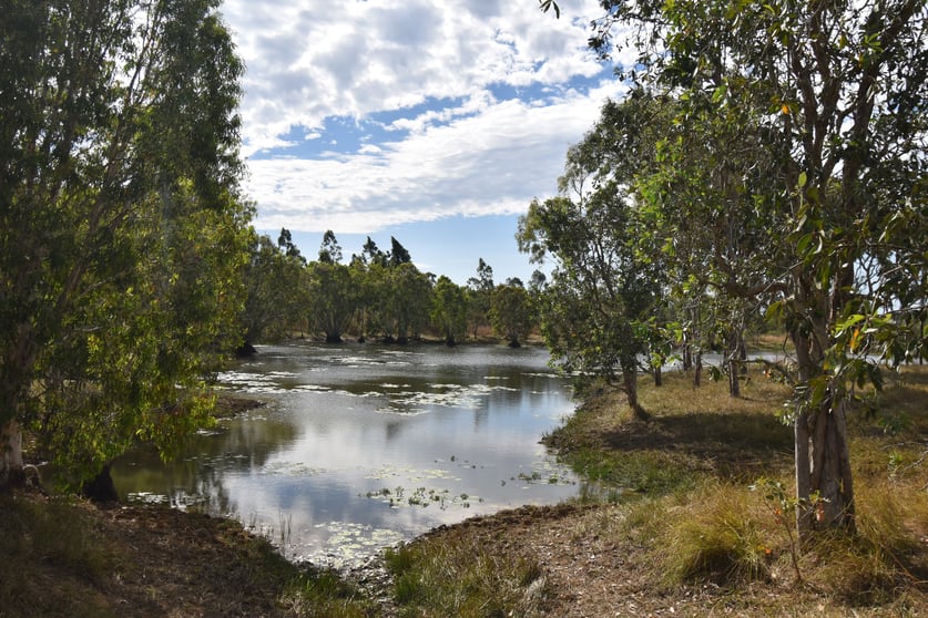 Click to view all images 282 Staffords Road Bloomsbury QLD 4799 - Image 1