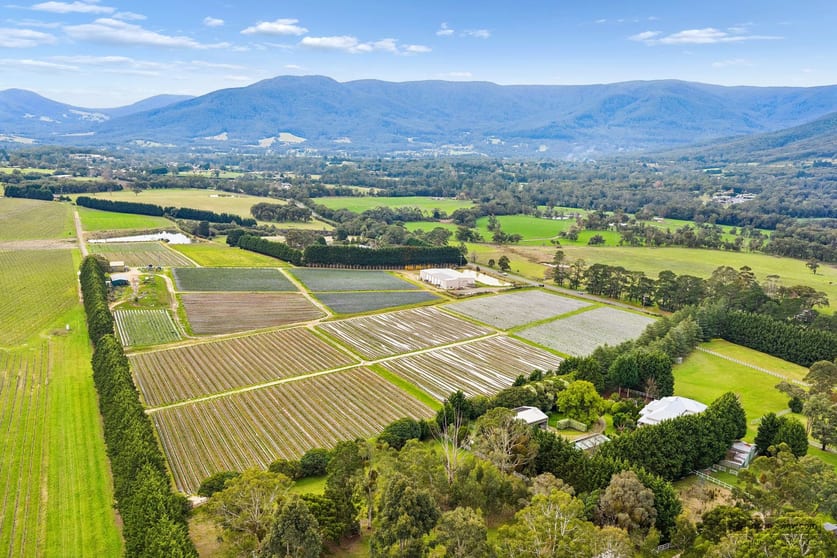 Click to view all images 310 Little Yarra Road Yarra Junction VIC 3797 - Image 3