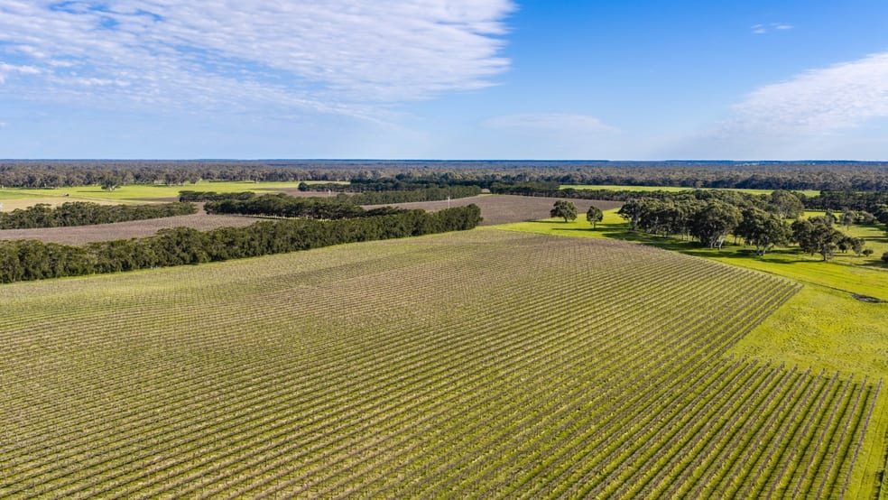 Davis Road Coonawarra SA 5263 - Image 5
