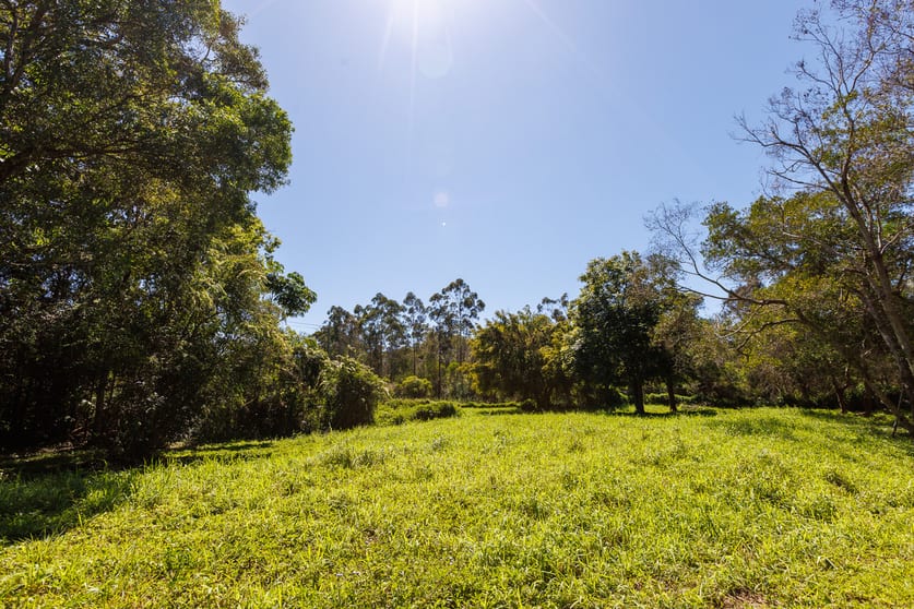 Click to view all images 252 New Brighton Road Billinudgel NSW 2483 - Image 3