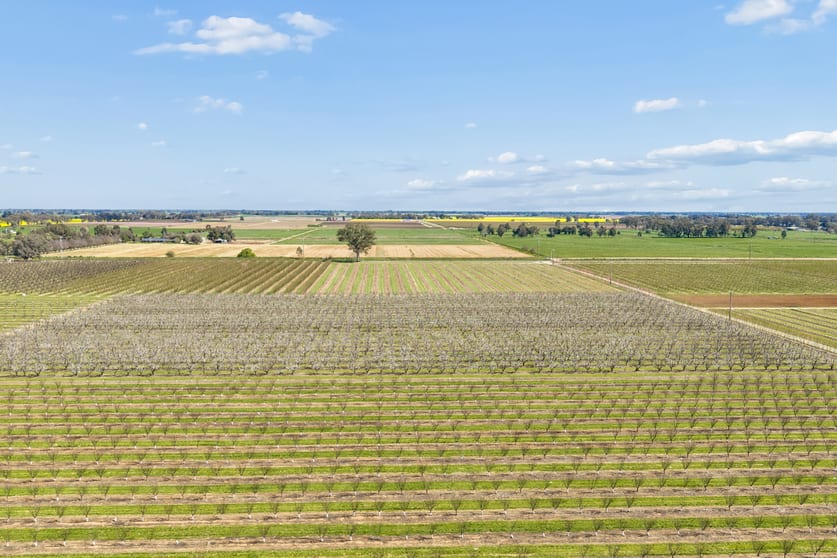 139 Chapel Road Cobram East VIC 3644 - Image 5