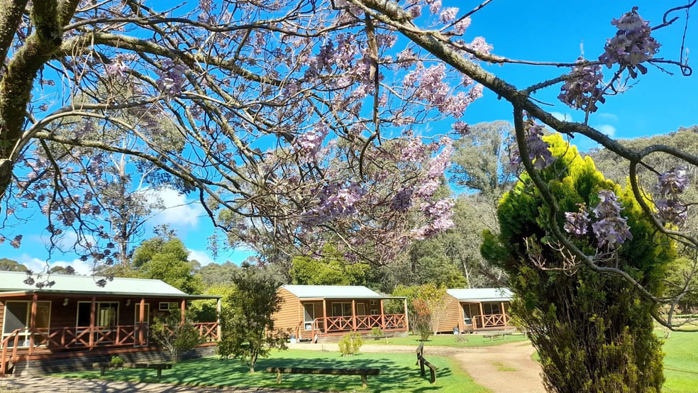 20 Camping Park Road Harrietville VIC 3741 - Image 1