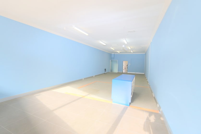 Click to view all images 17 Brodie Street Rydalmere NSW 2116 - Image 2