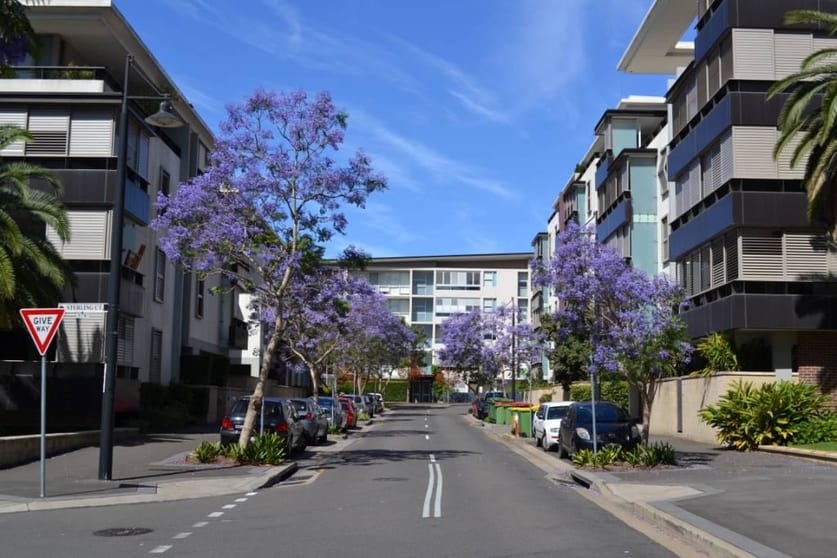 Click to view all images Camperdown NSW 2050 - Image 1