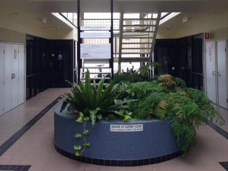 Click to view all images 6/11 McKay Gardens Turner ACT 2612 - Image 2