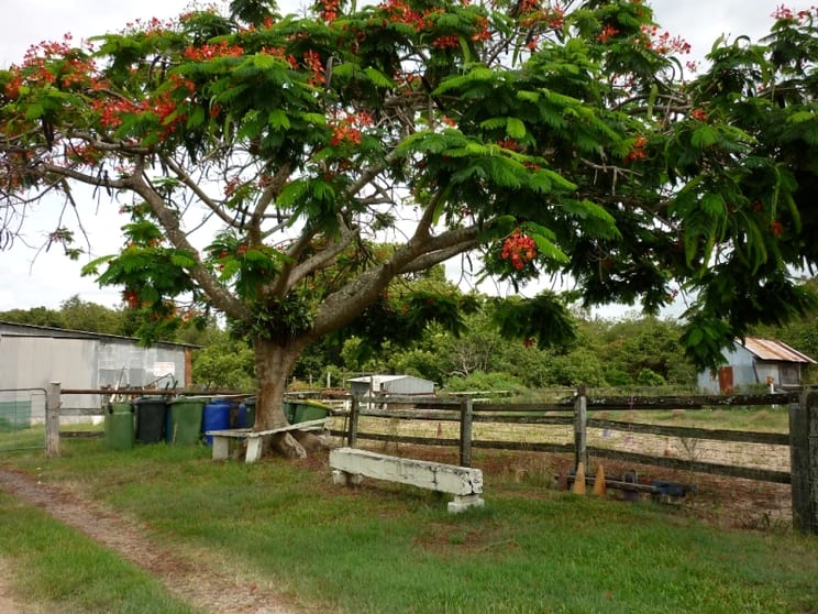 Click to view all images Albany Creek QLD 4035 - Image 3