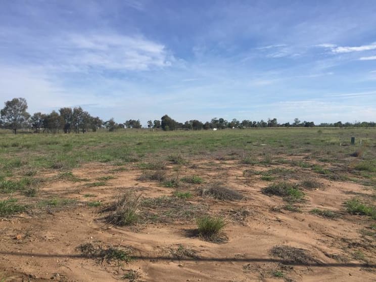 Click to view all images Lot 8 Pilot Farm Road Emerald QLD 4720 - Image 2