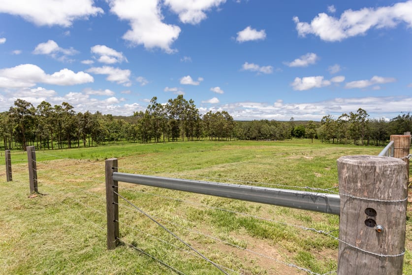 Click to view all images 250 Parsons Road Coondoo QLD 4570 - Image 3