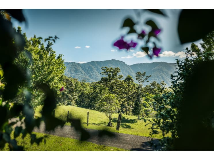 Click to view all images 930 promised land Road Bellingen NSW 2454 - Image 1