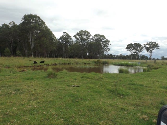 Click to view all images 295 Marks Road Leeville Casino NSW 2470 - Image 2