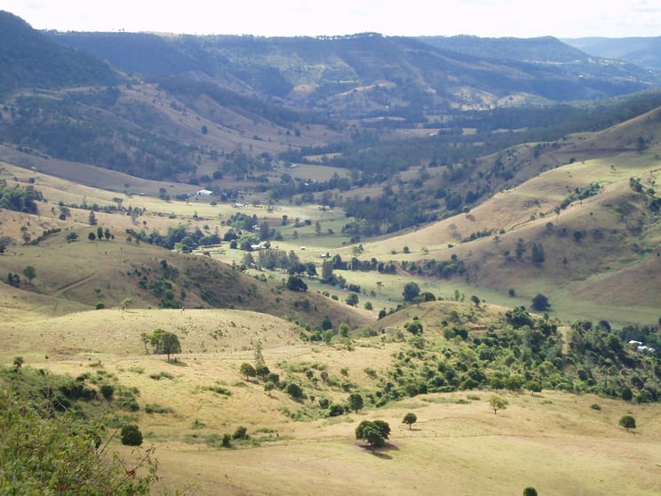 Click to view all images 565 Illinbah Road Illinbah QLD 4275 - Image 2