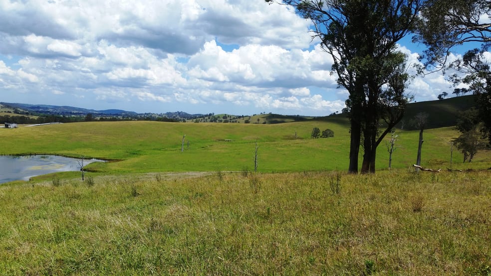 Click to view all images Lot 13 DP621541 Hennys Road Dungog NSW 2420 - Image 1