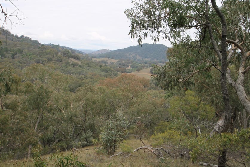 Click to view all images 45 Kurrajong Lane Mudgee NSW 2850 - Image 1