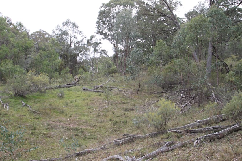 Click to view all images 45 Kurrajong Lane Mudgee NSW 2850 - Image 3