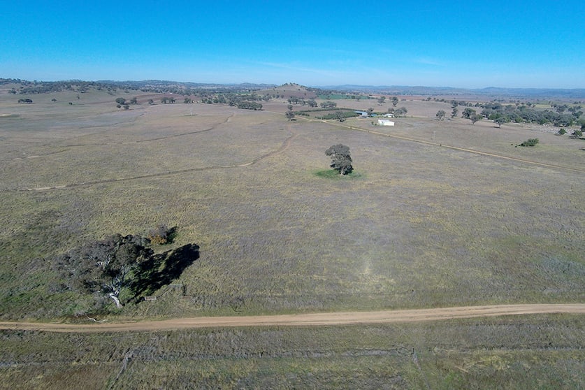 90 Zimmler Lane Gulgong NSW 2852 - Image 2