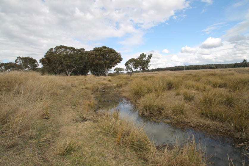 1515 Blue Springs Road Gulgong NSW 2852 - Image 2