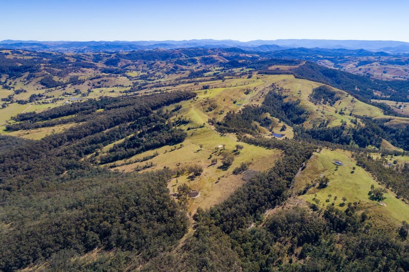 230 Wallaringa Road Dungog NSW 2420 - Image 2