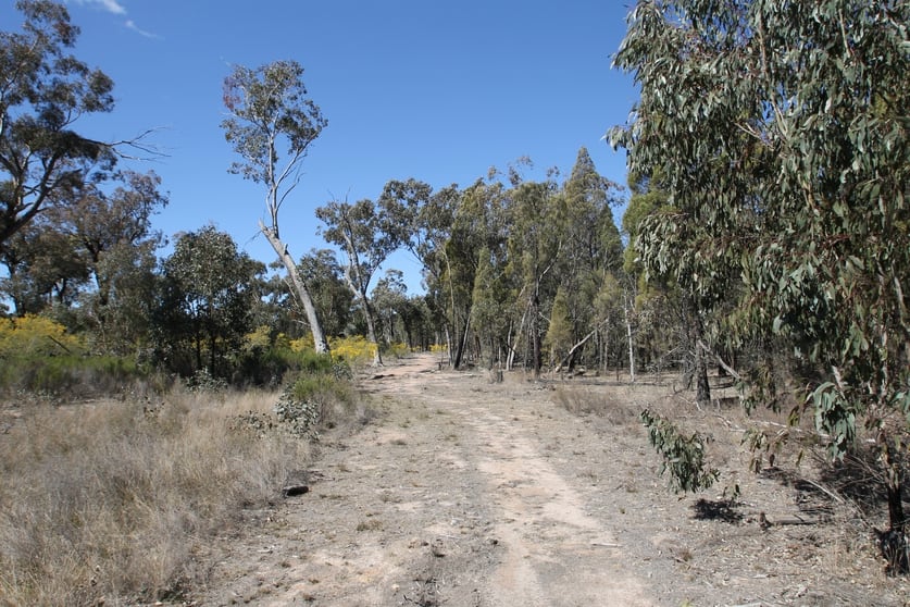 Click to view all images 1096 Yarrawonga Road Mudgee NSW 2850 - Image 1