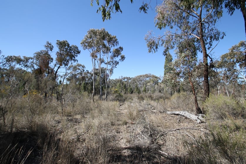 Click to view all images 1096 Yarrawonga Road Mudgee NSW 2850 - Image 3