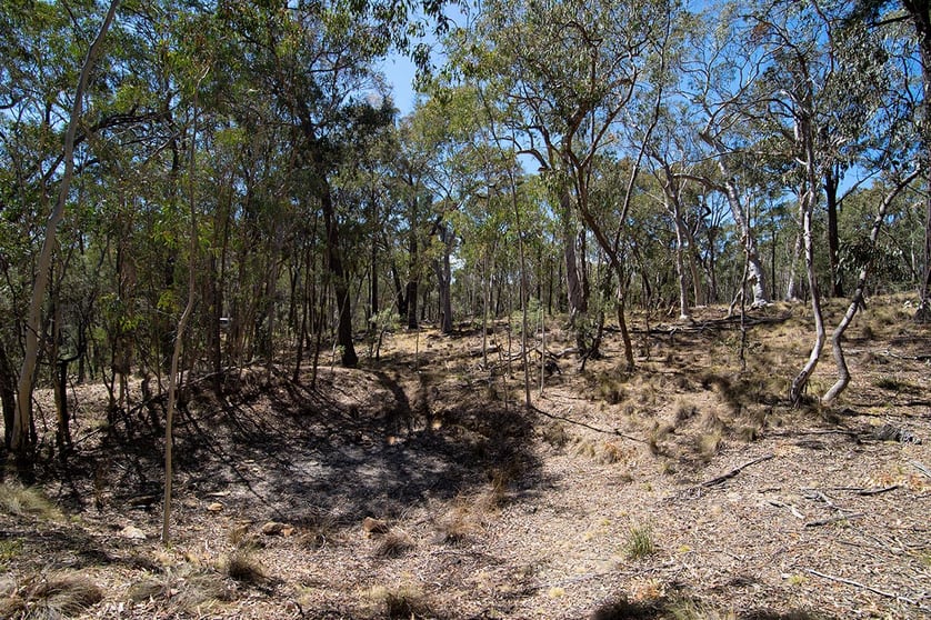 Click to view all images 87/257 Triangle Swamp Road Mudgee NSW 2850 - Image 2