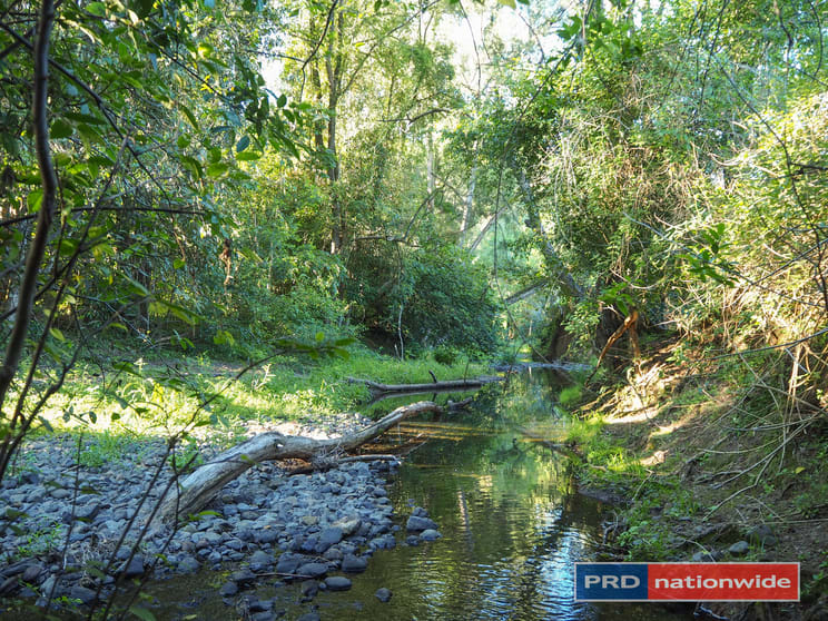 387 Roseberry Creek Road Kyogle NSW 2474 - Image 3