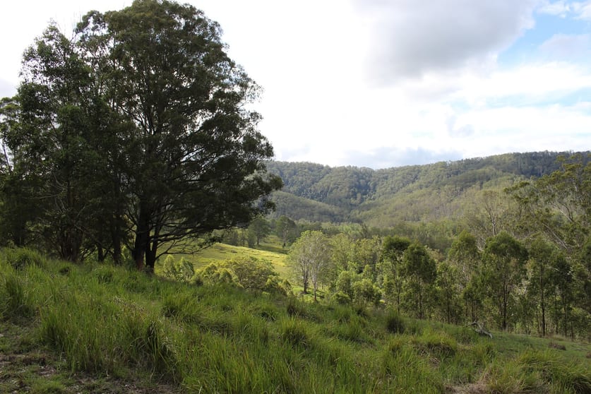 Lot 117 Bowman River Road Gloucester NSW 2422 - Image 1
