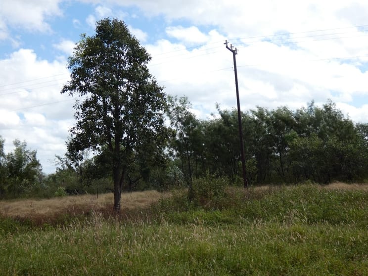 143 Strickland Road Adelaide River NT 0846 - Image 3