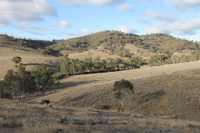 40/1191 Campbells Creek Road Mudgee NSW 2850 - Image 3