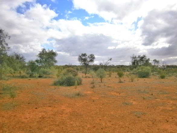 Click to view all images Section 416, Eba Vale Road Morgan SA 5320 - Image 1