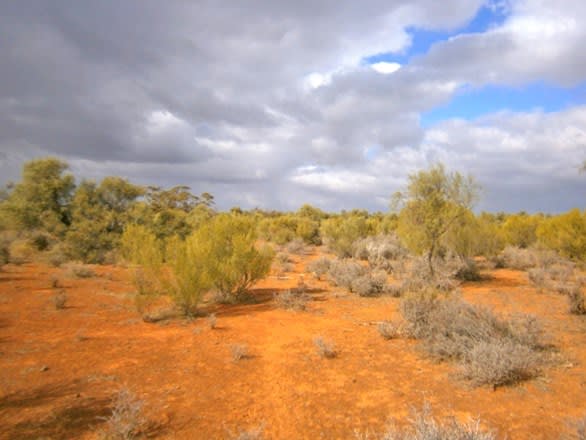 Click to view all images Section 416, Eba Vale Road Morgan SA 5320 - Image 3