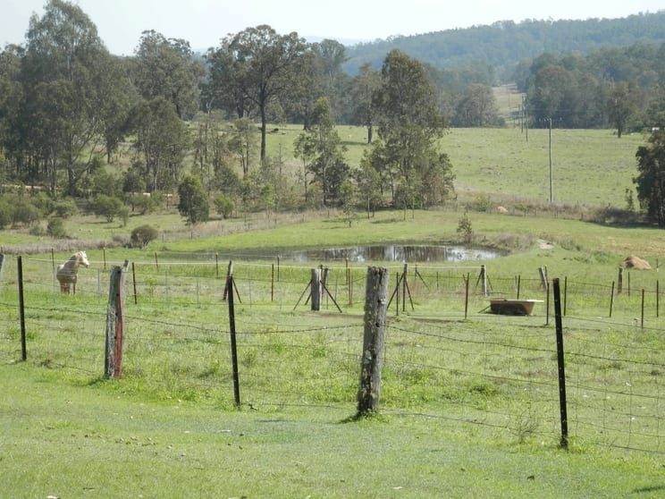 Click to view all images Tabulam NSW 2469 - Image 3