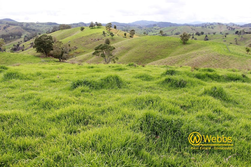 634 Wallanbah Road Gloucester NSW 2422 - Image 3