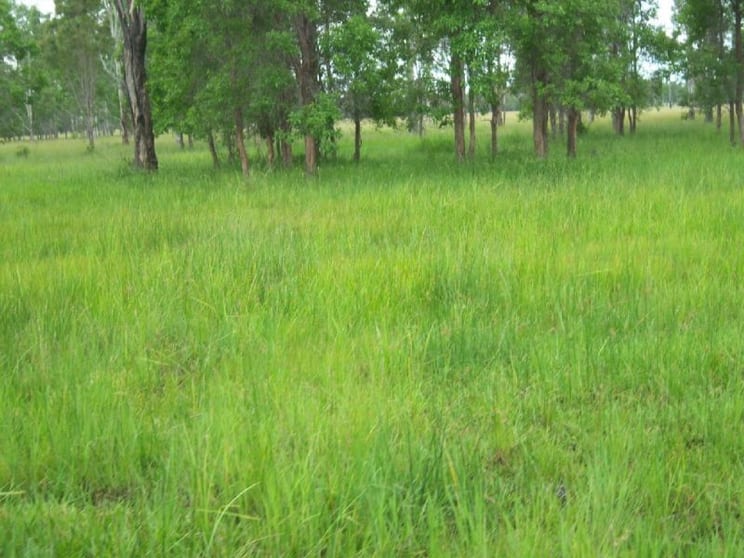 Off Mount Woowoonga Road, Via Biggenden Woowoonga QLD 4621 - Image 3