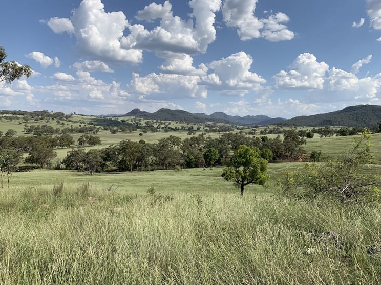 Click to view all images 7147 Bylong Valley Way Bylong NSW 2849 - Image 2