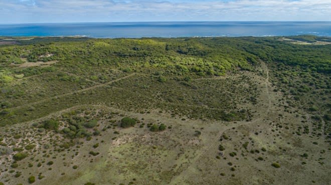 Click to view all images 00 Bungaree Road Bungaree TAS 7256 - Image 1