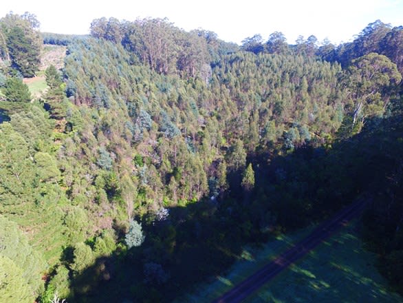 Click to view all images 3/ Albert River Road Wonyip VIC 3962 - Image 3